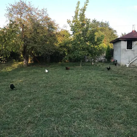 Ciftlik Appartamento *