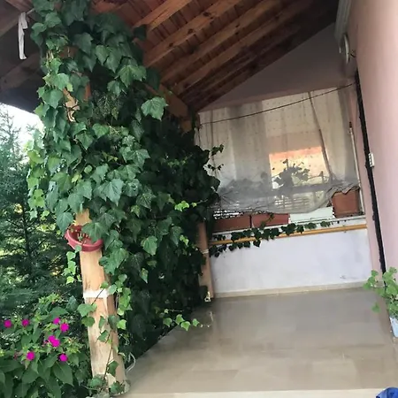 Ciftlik * Sapanca