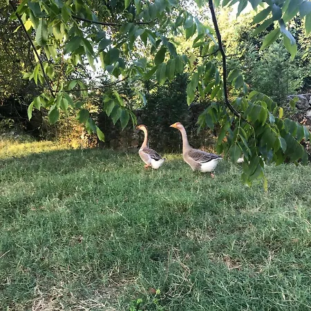 Ciftlik Sapanca