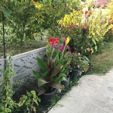 Appartamento Ciftlik Sapanca