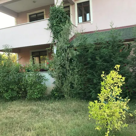 Ciftlik * Sapanca