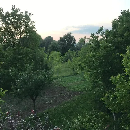 Ciftlik Appartamento Sapanca